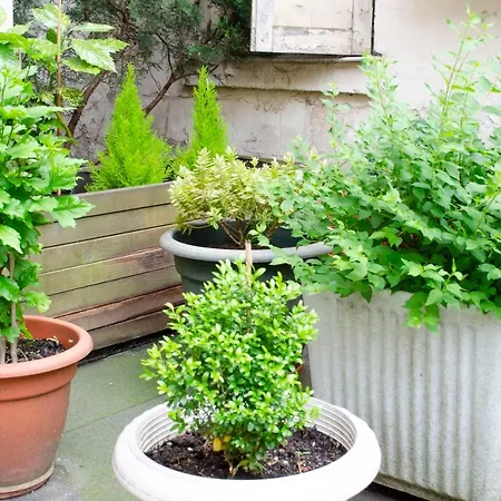 דירה Beautiful 82M2 Apt Between Le Marais And Republic פריז